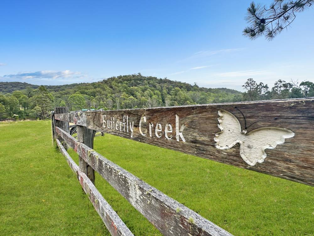 141 Cagney Rd, Laguna, NSW 2325