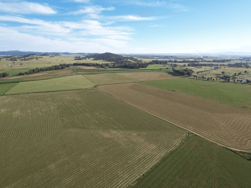 1022 Rivers Road, CANOWINDRA, NSW 2804