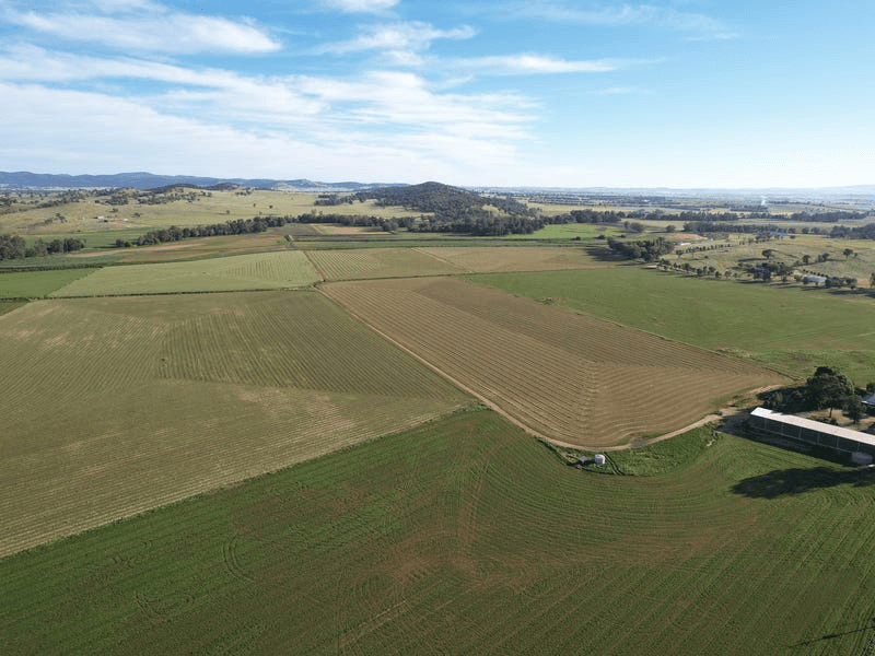 1022 Rivers Road, CANOWINDRA, NSW 2804