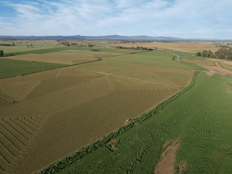 1022 Rivers Road, CANOWINDRA, NSW 2804