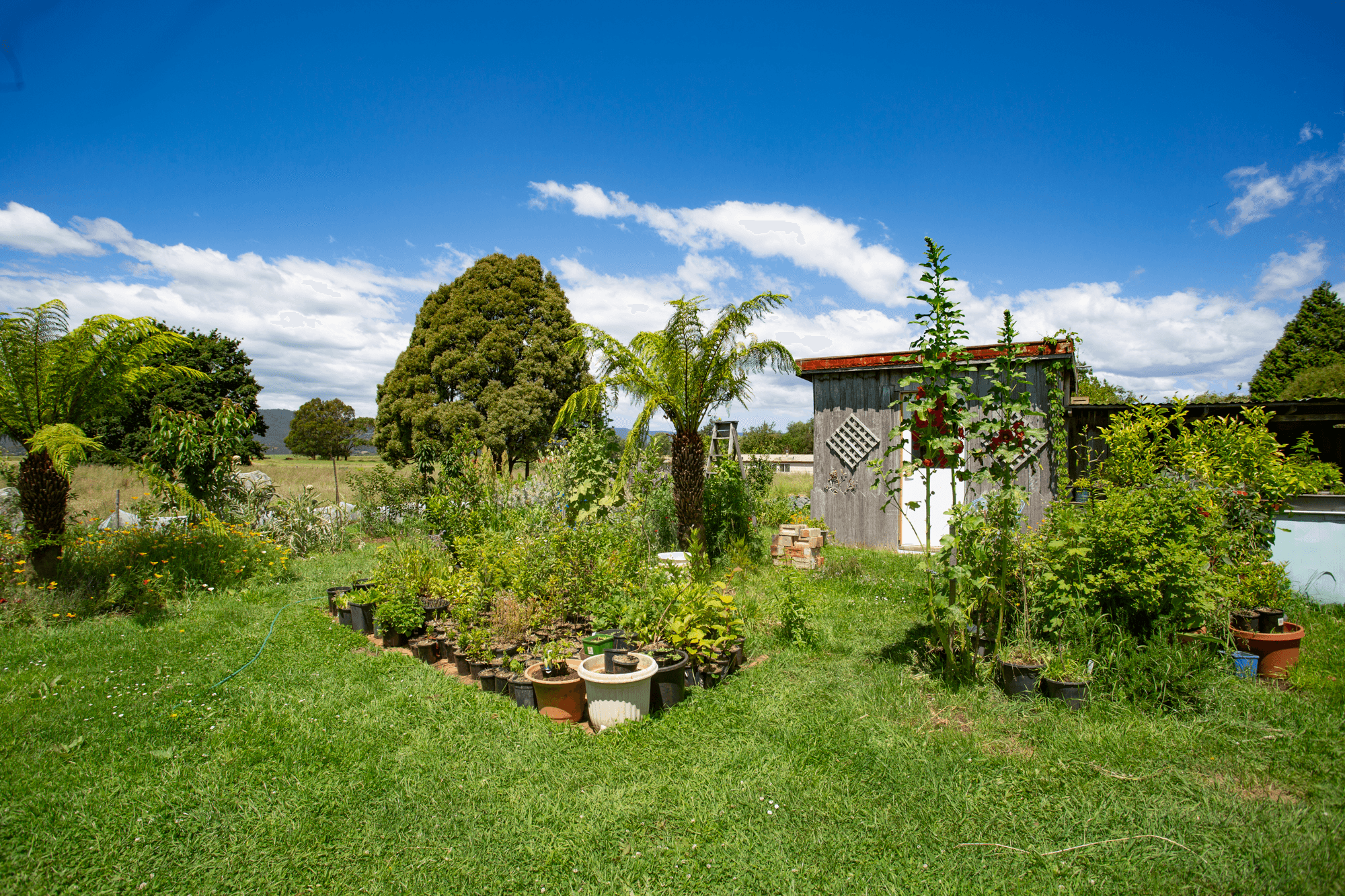 21 Carisbrook Lane, LEGERWOOD, TAS 7263