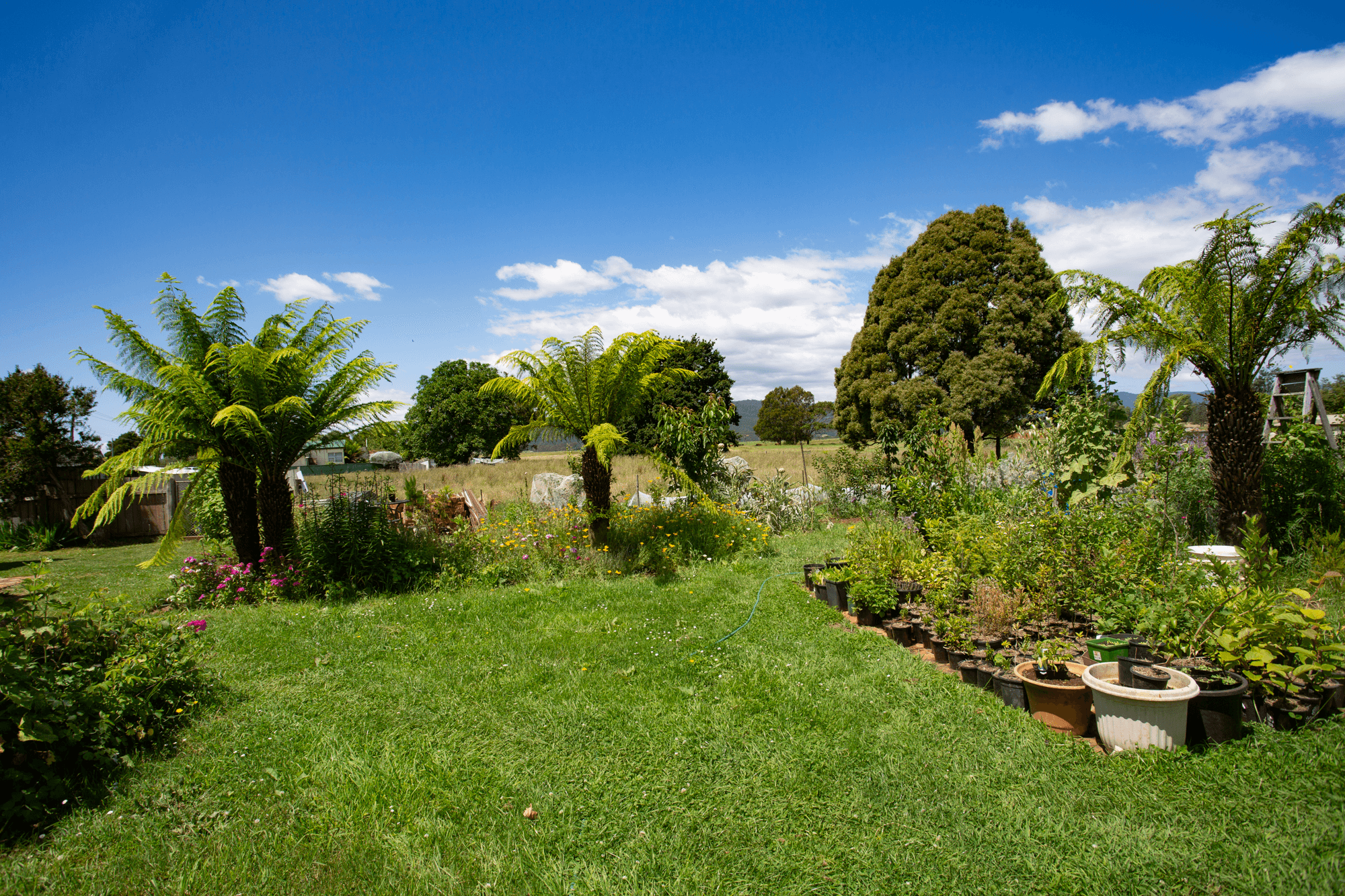 21 Carisbrook Lane, LEGERWOOD, TAS 7263