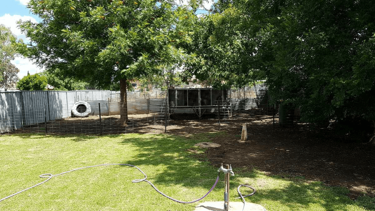 57 Myrtle Street, GILGANDRA, NSW 2827