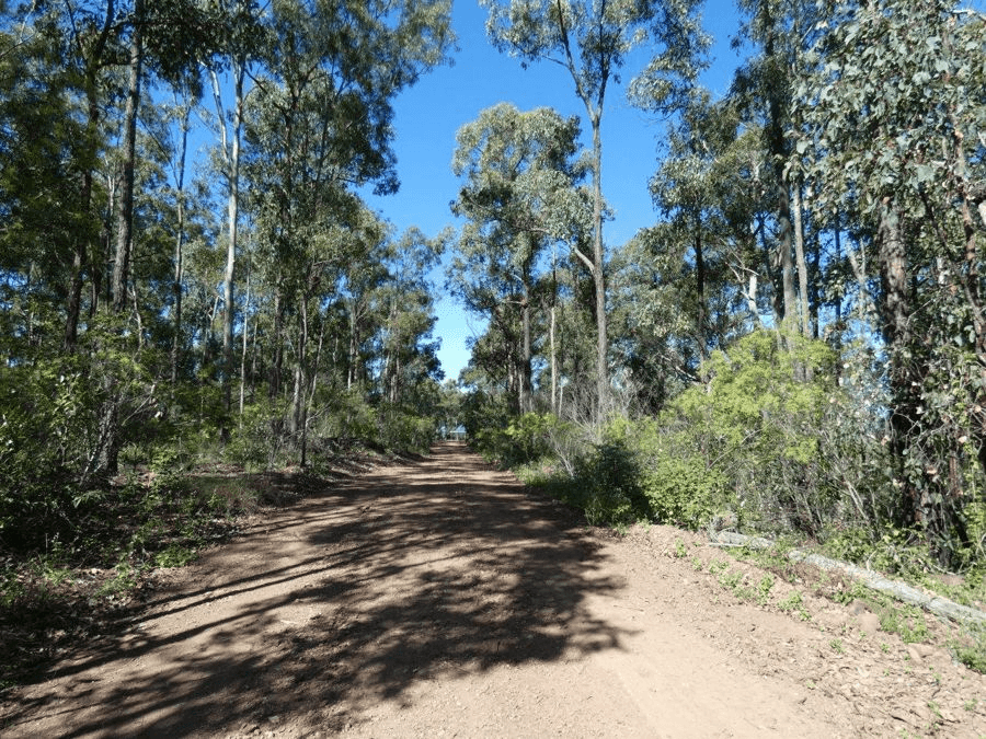 123  Waterloo Road, WATERLOO, QLD 4673