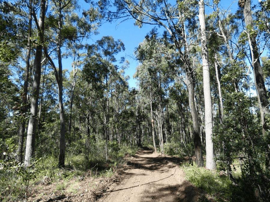 123  Waterloo Road, WATERLOO, QLD 4673