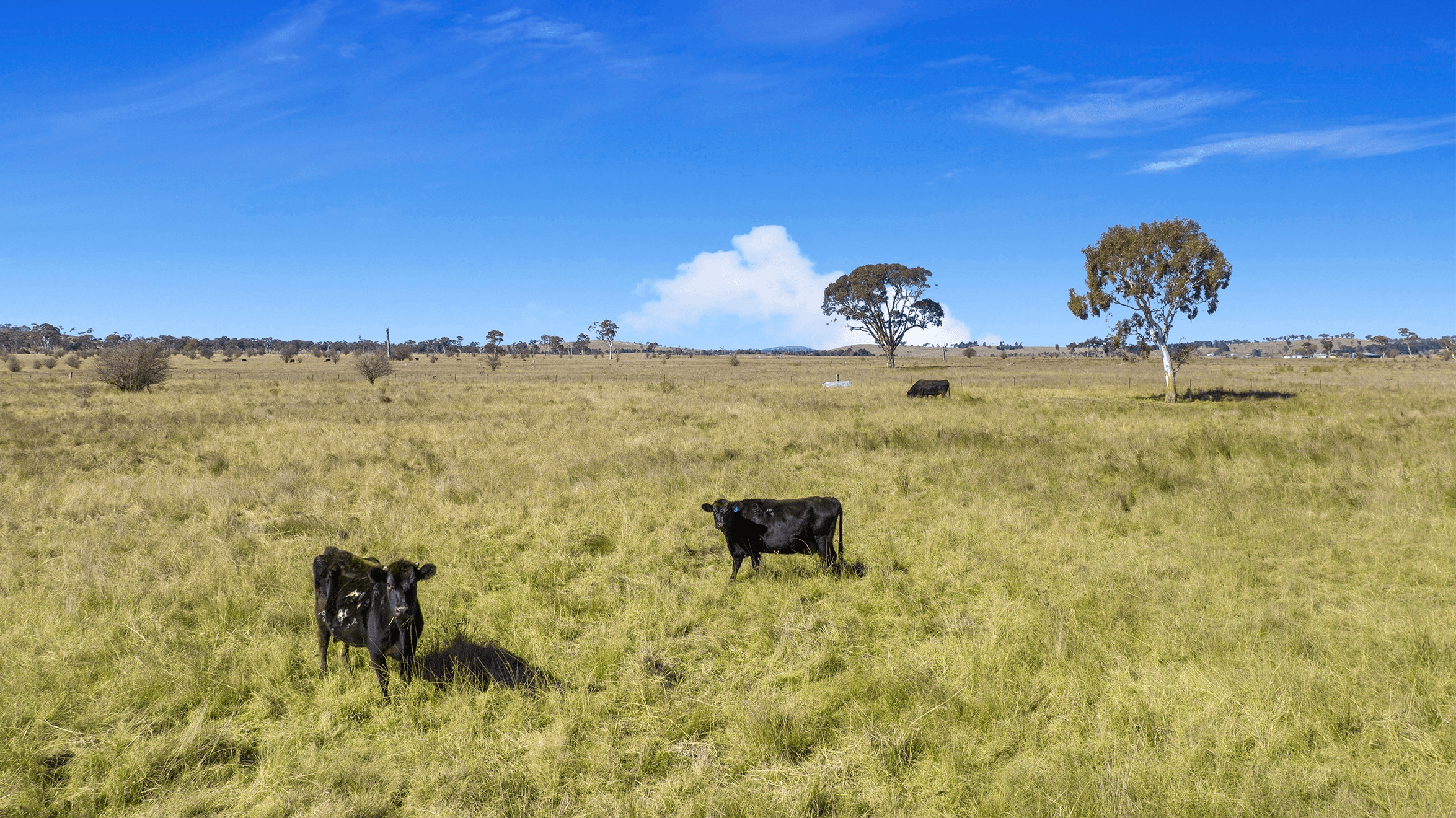 11 The Gap Road, Uralla, NSW 2358