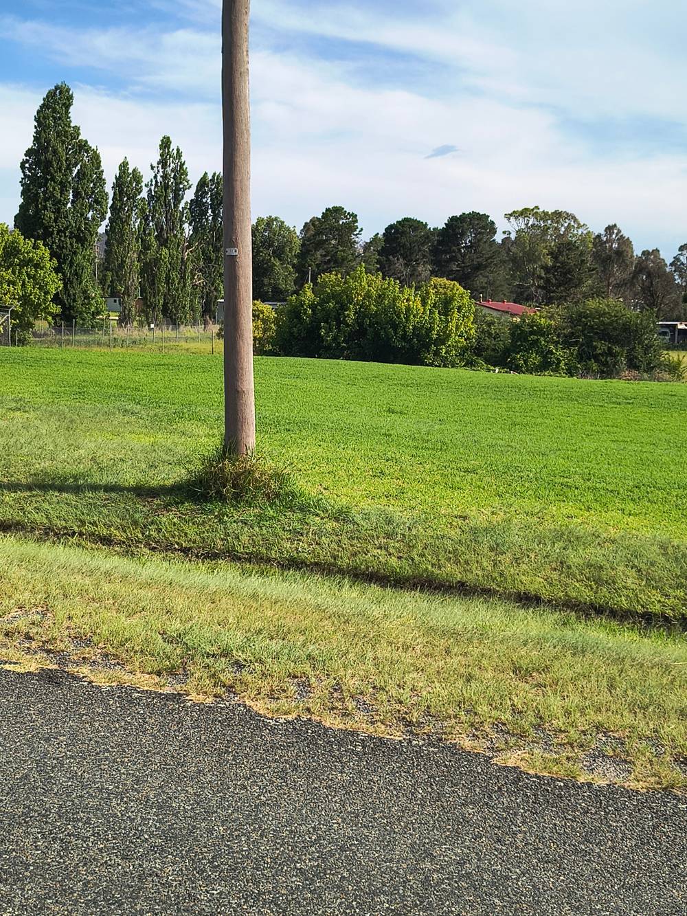 35 Scott Street, Tenterfield, NSW 2372