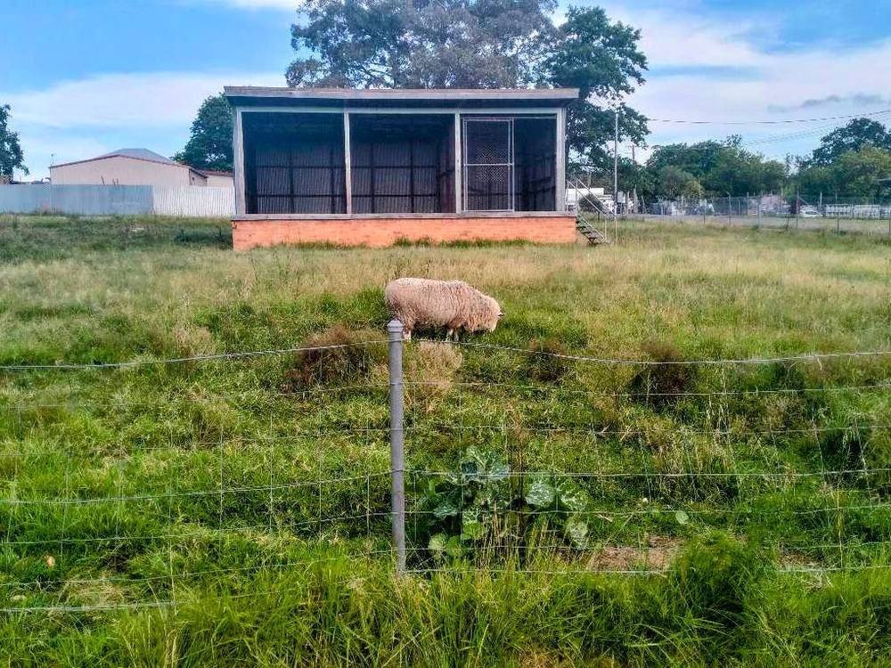 35 Scott Street, Tenterfield, NSW 2372