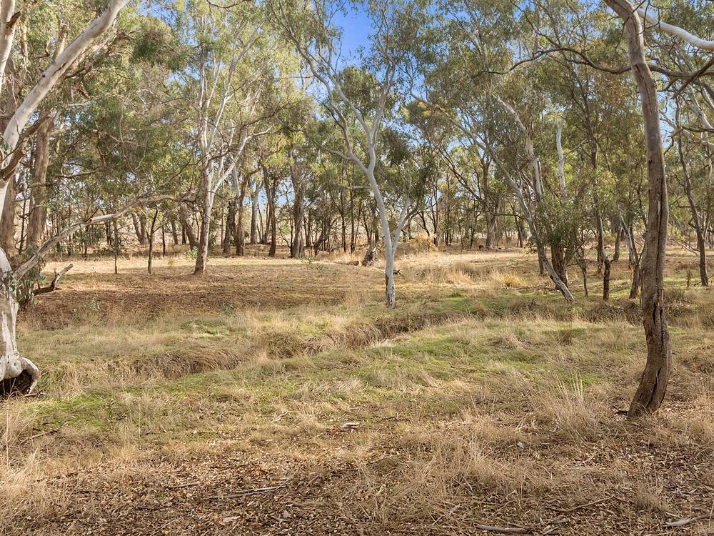 Lot 1 Bassett Lane, SEYMOUR, VIC 3660