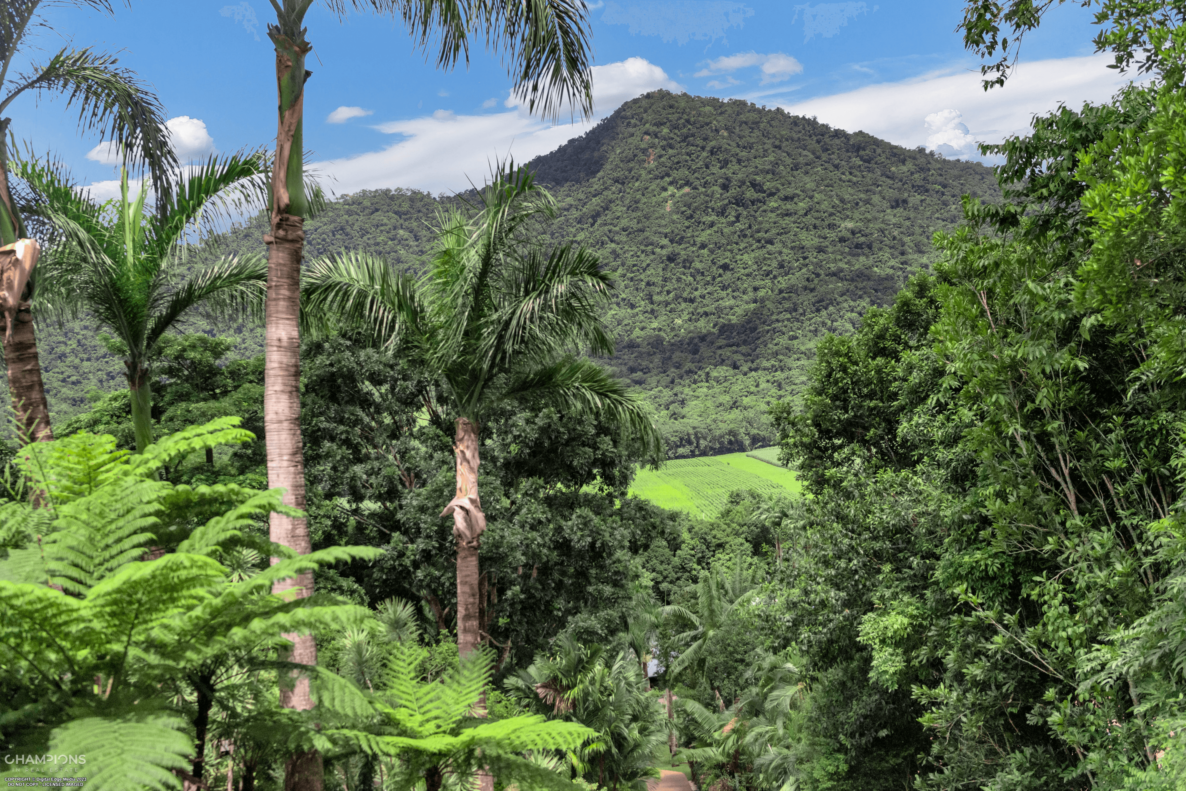 35 Chirio Drive, REDLYNCH, QLD 4870