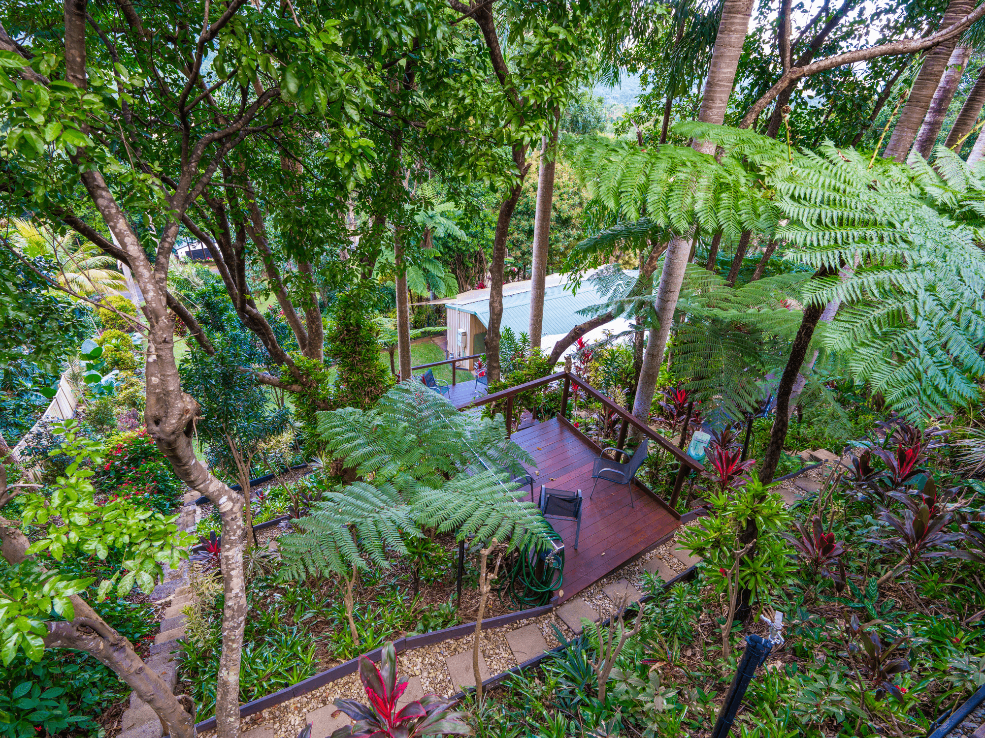 35 Chirio Drive, REDLYNCH, QLD 4870
