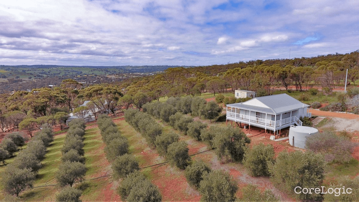 76 Folewood Road, Toodyay, WA 6566