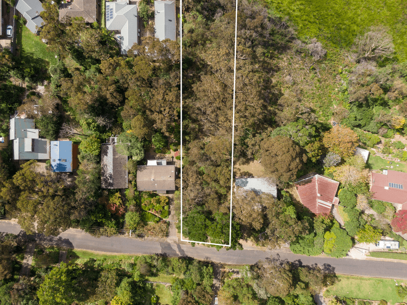 20 Days Crescent, BLACKHEATH, NSW 2785