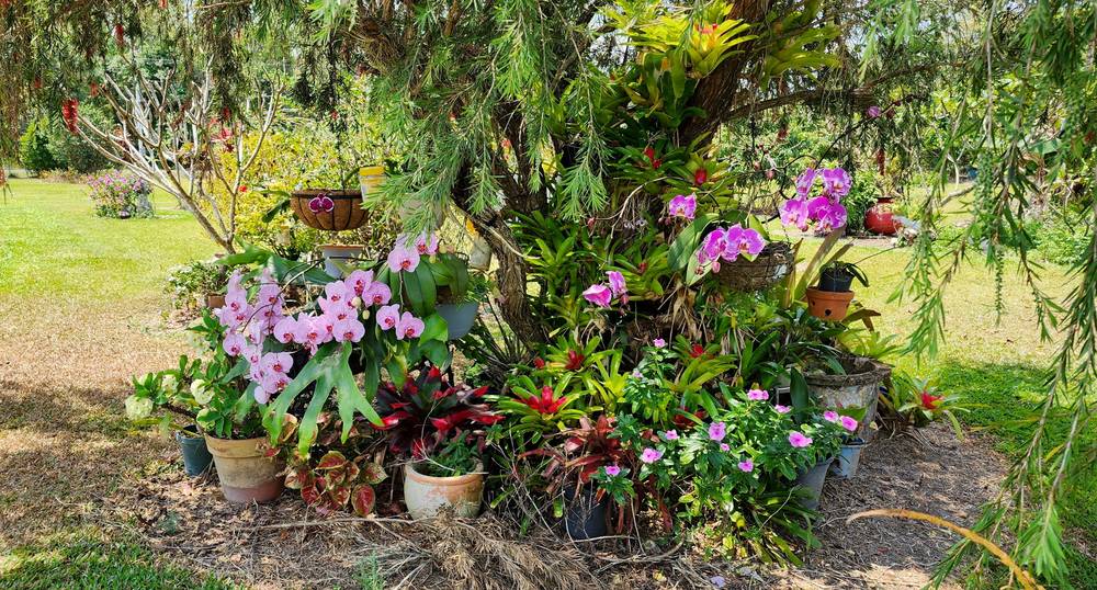 21 Williams Ave, Cardwell, QLD 4849