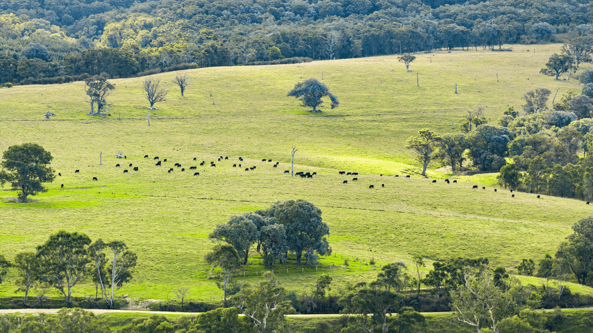 620 Upper Maffra Road, Maffra West Upper, VIC 3859