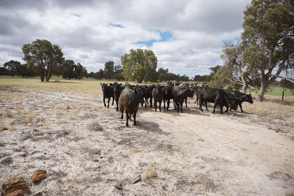 372 Fynes Road, RED GULLY, WA 6503