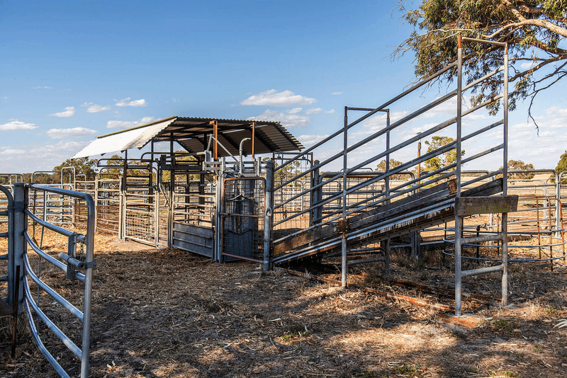 372 Fynes Road, RED GULLY, WA 6503