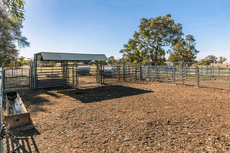 372 Fynes Road, RED GULLY, WA 6503