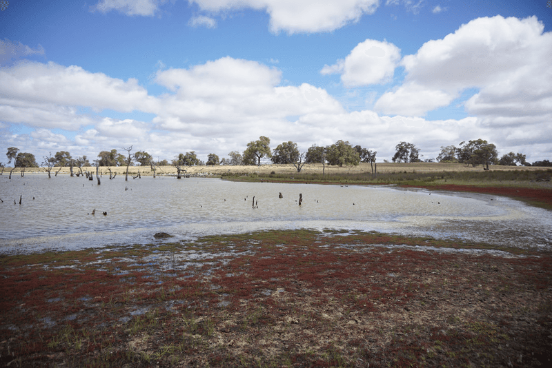 372 Fynes Road, RED GULLY, WA 6503