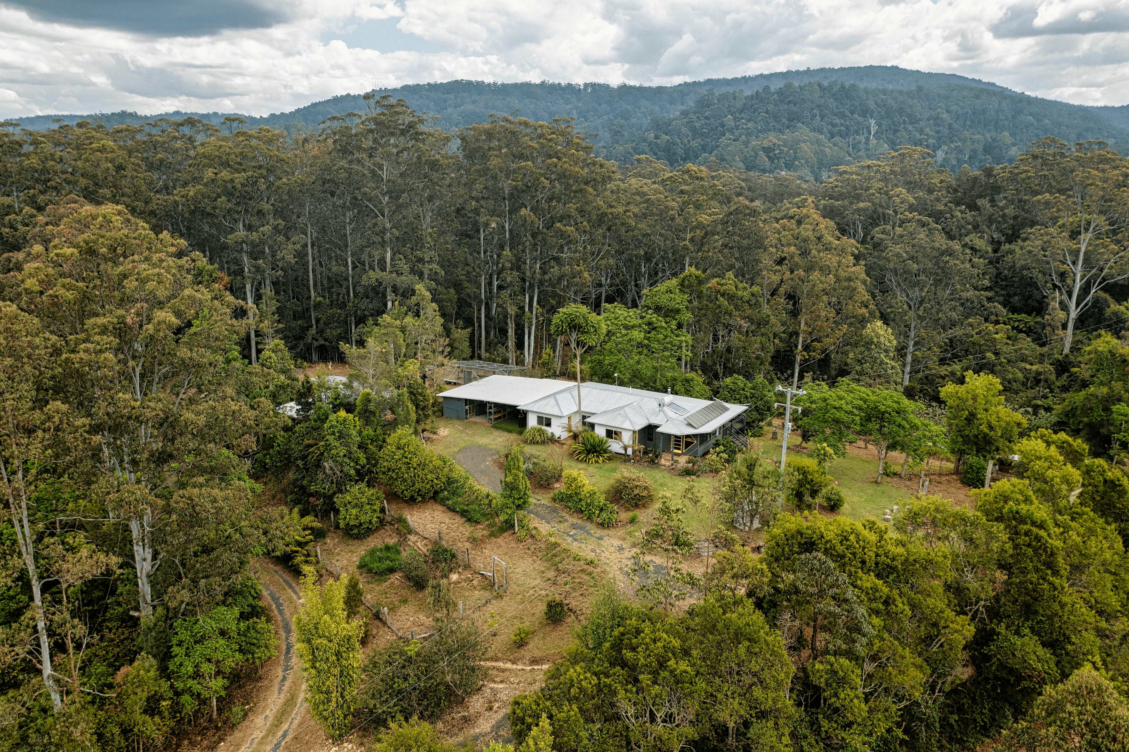 459 Schultz Road, Billys Creek, NSW 2453