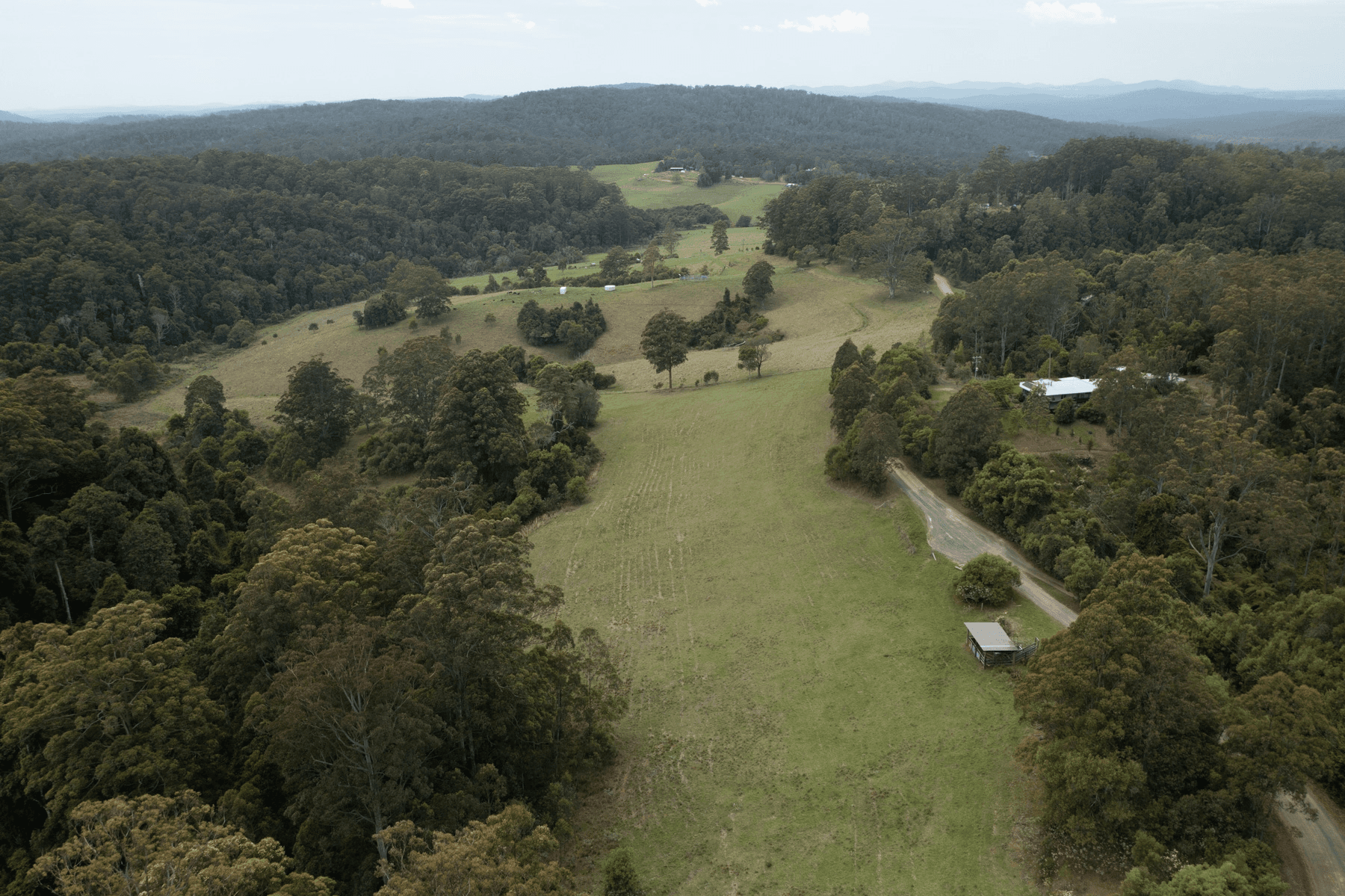 459 Schultz Road, Billys Creek, NSW 2453