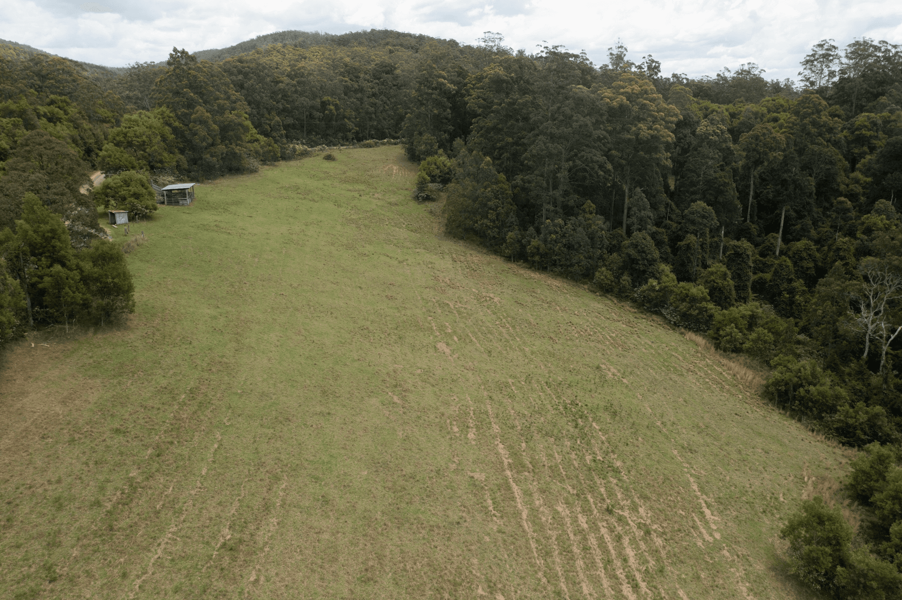 459 Schultz Road, Billys Creek, NSW 2453