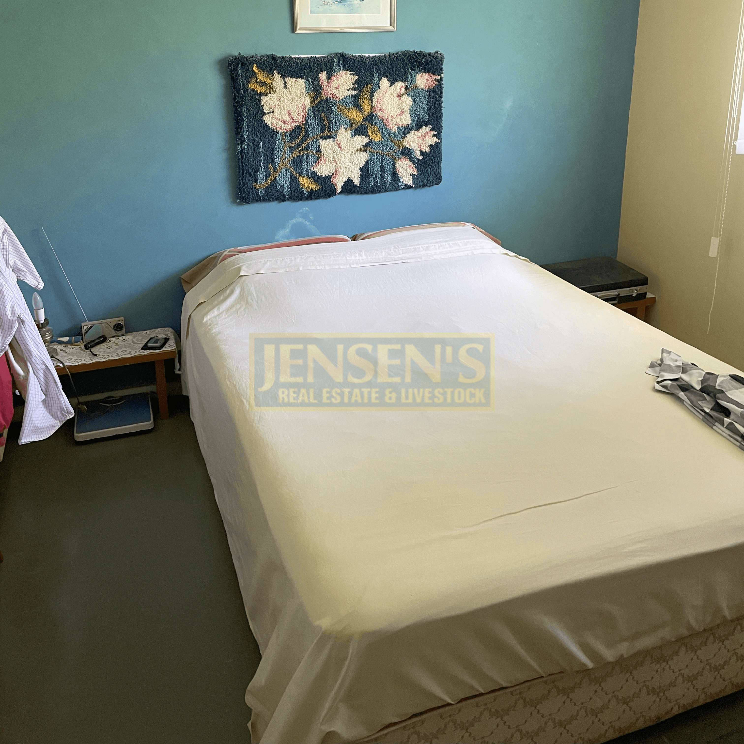 11 Tristana Court, GREENVALE, QLD 4816