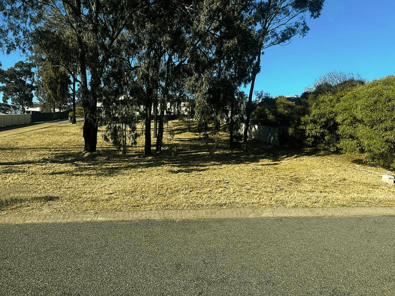 15 Hakea Drive, Muswellbrook, NSW 2333