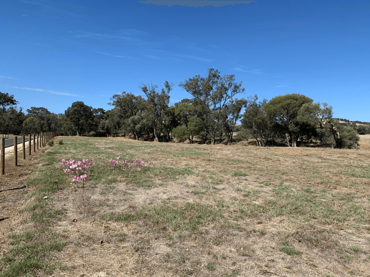 Lot 70 Hackett Road, HARVEY, WA 6220