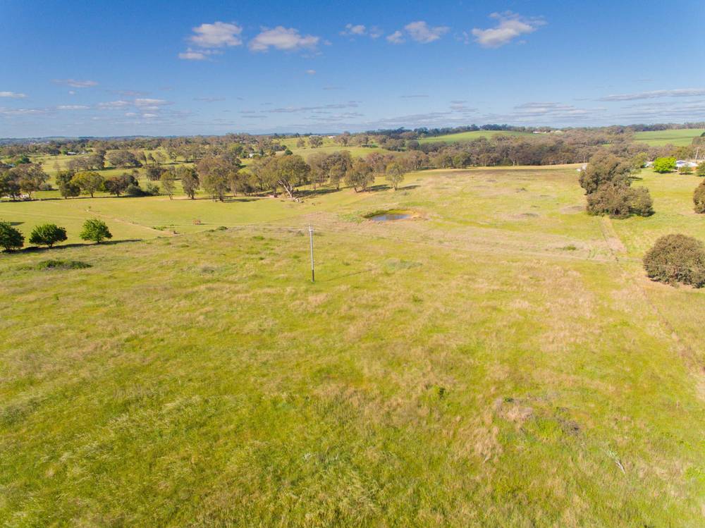 345 Back Creek Road, Young, NSW 2594