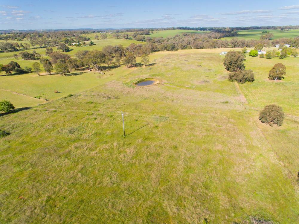 345 Back Creek Road, Young, NSW 2594
