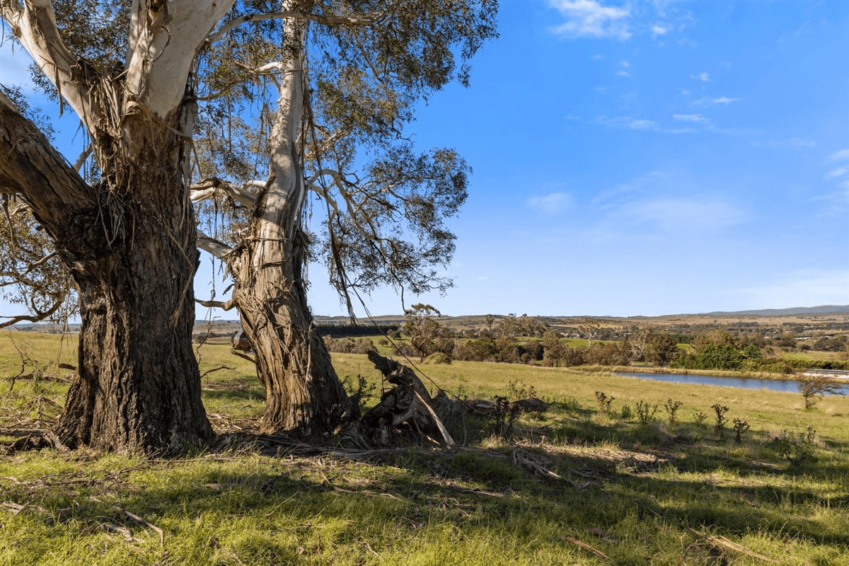 Lot 2 / 149 Gillamatong Lane, BRAIDWOOD, NSW 2622