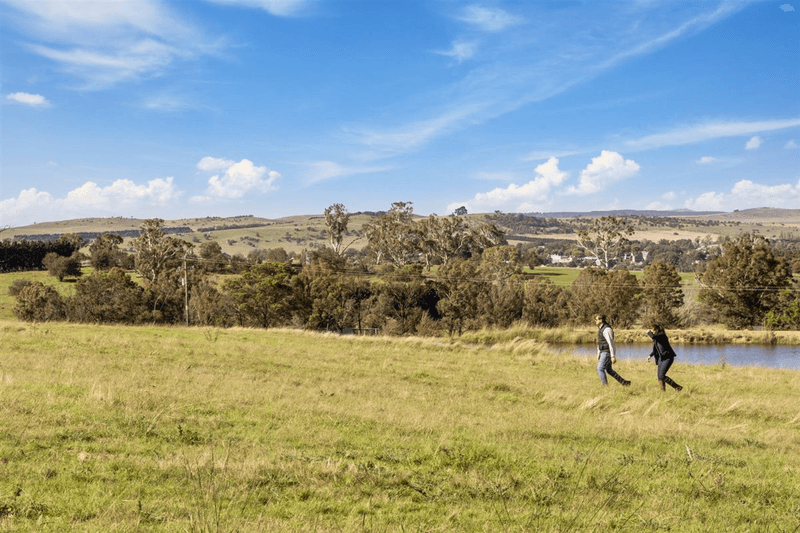 Lot 2 / 149 Gillamatong Lane, BRAIDWOOD, NSW 2622