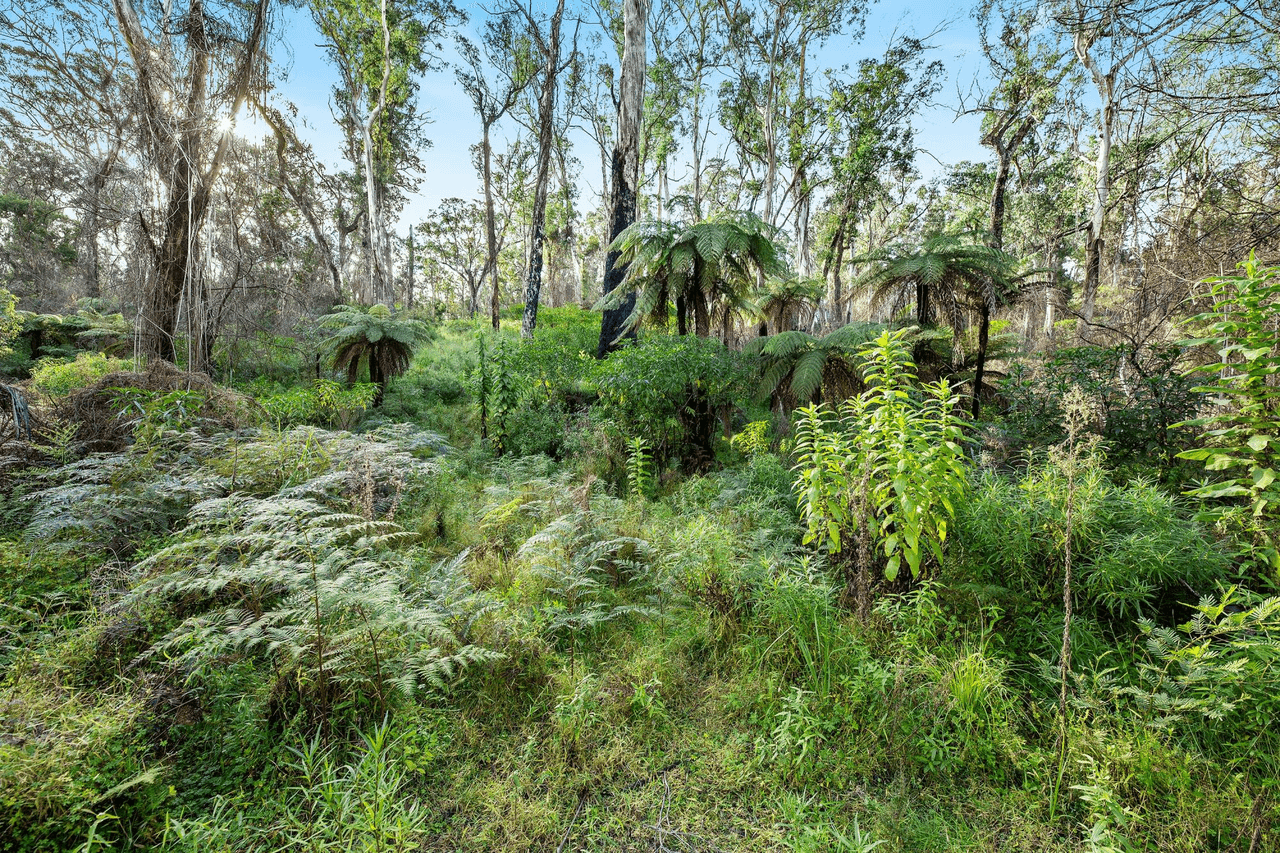 Lot 241/ Cobra Road, NAROOMA, NSW 2546