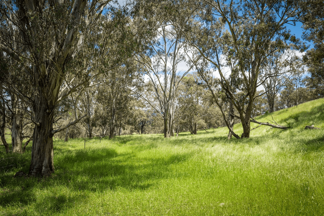 'Warrahdale' 413 Presses Road, WILLOW TREE, NSW 2339