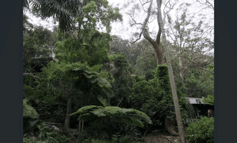48 Monash Avenue, Great Mackerel Beach, NSW 2108