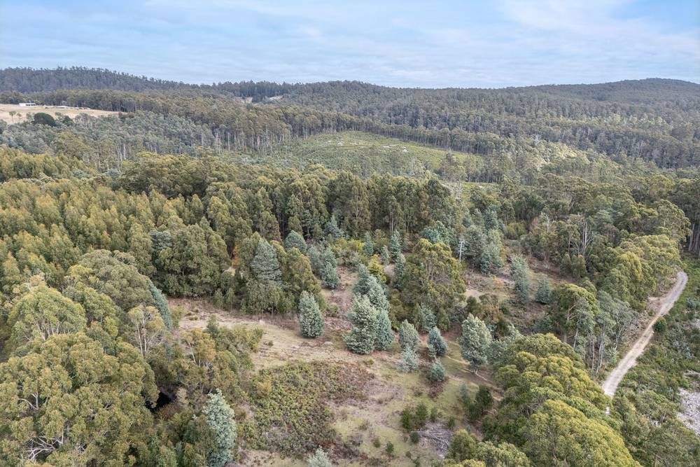 872 Holwell Road, Holwell, TAS 7275