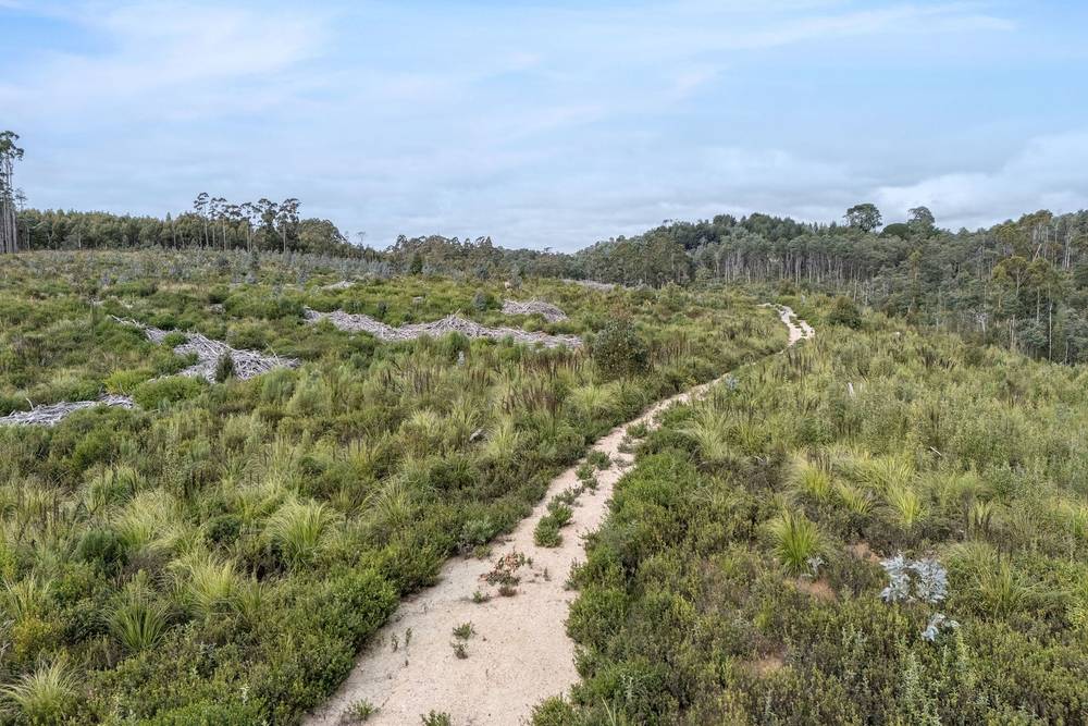 872 Holwell Road, Holwell, TAS 7275