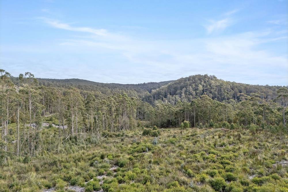 872 Holwell Road, Holwell, TAS 7275