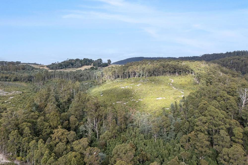 872 Holwell Road, Holwell, TAS 7275