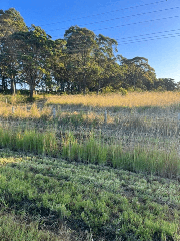 Lot 342 The Lakes Way, BUNGWAHL, NSW 2423