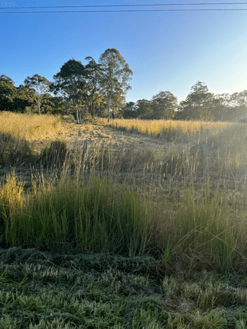 Lot 342 The Lakes Way, BUNGWAHL, NSW 2423