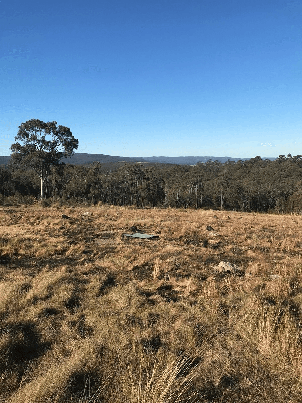 1336 Webbers Creek Road, WEBBERS CREEK, NSW 2421