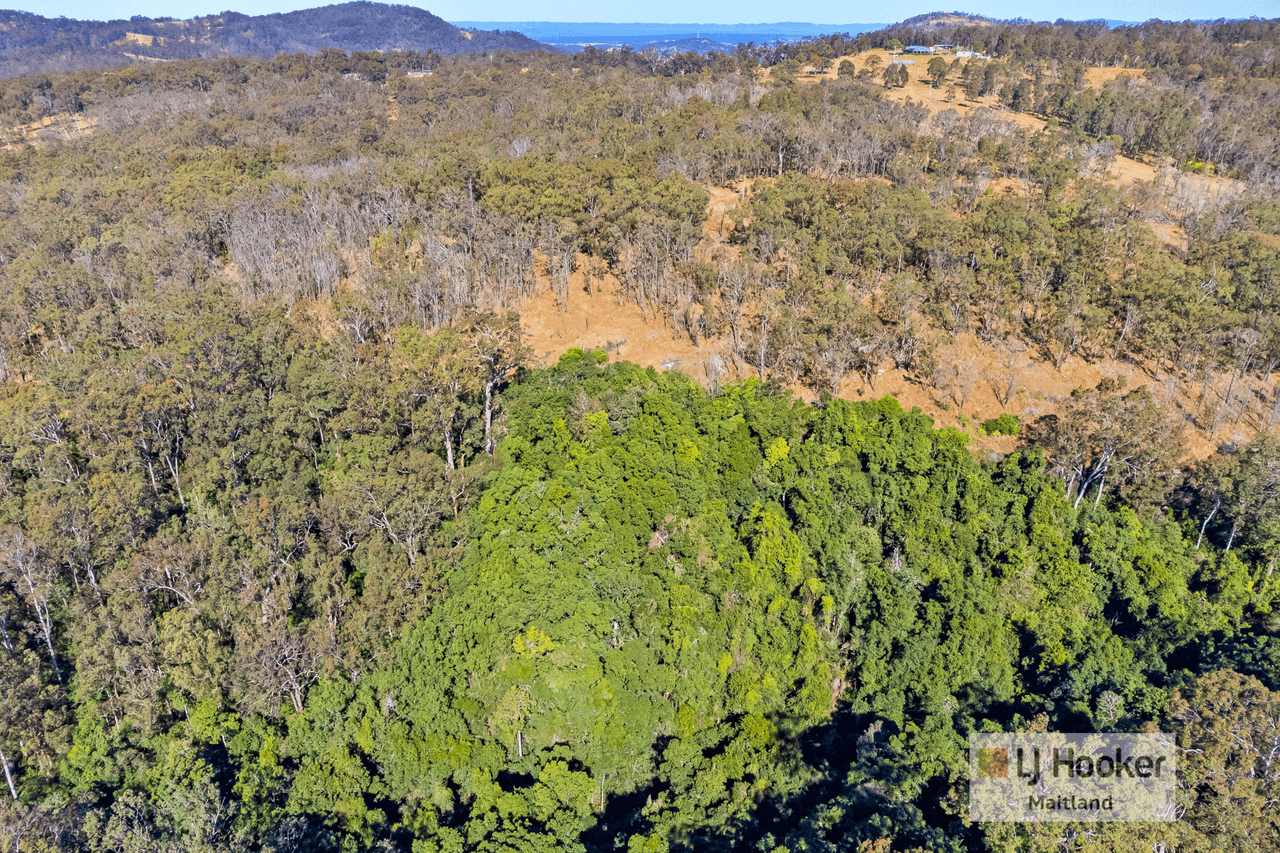 1336 Webbers Creek Road, WEBBERS CREEK, NSW 2421