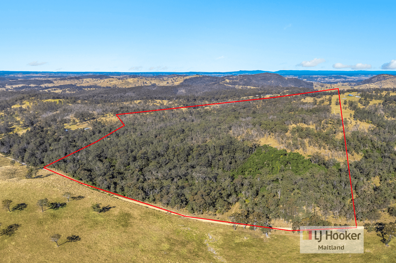 1336 Webbers Creek Road, WEBBERS CREEK, NSW 2421