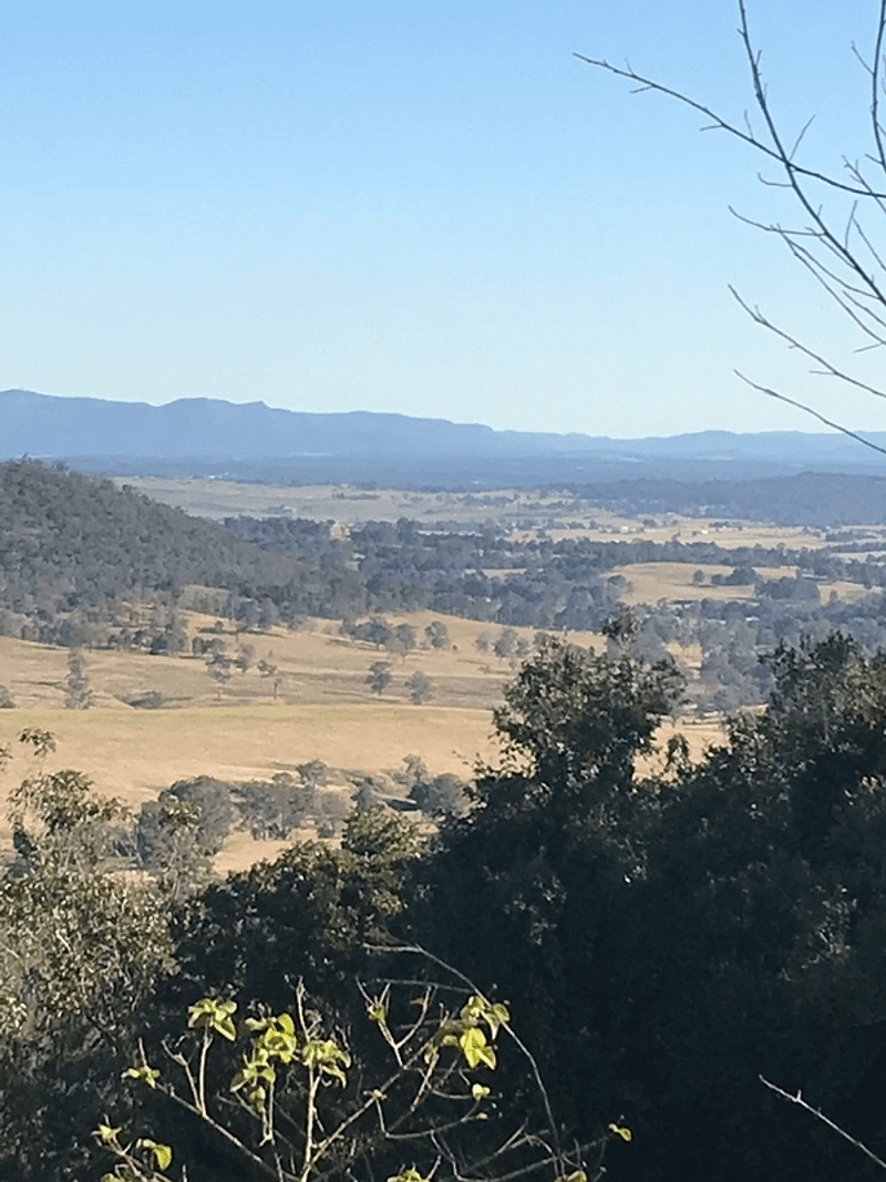 1336 Webbers Creek Road, WEBBERS CREEK, NSW 2421