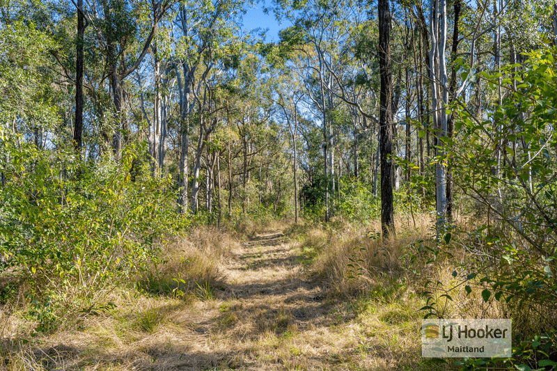 1336 Webbers Creek Road, WEBBERS CREEK, NSW 2421