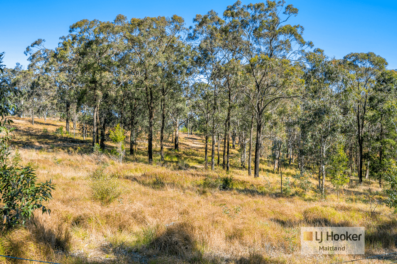 1336 Webbers Creek Road, WEBBERS CREEK, NSW 2421