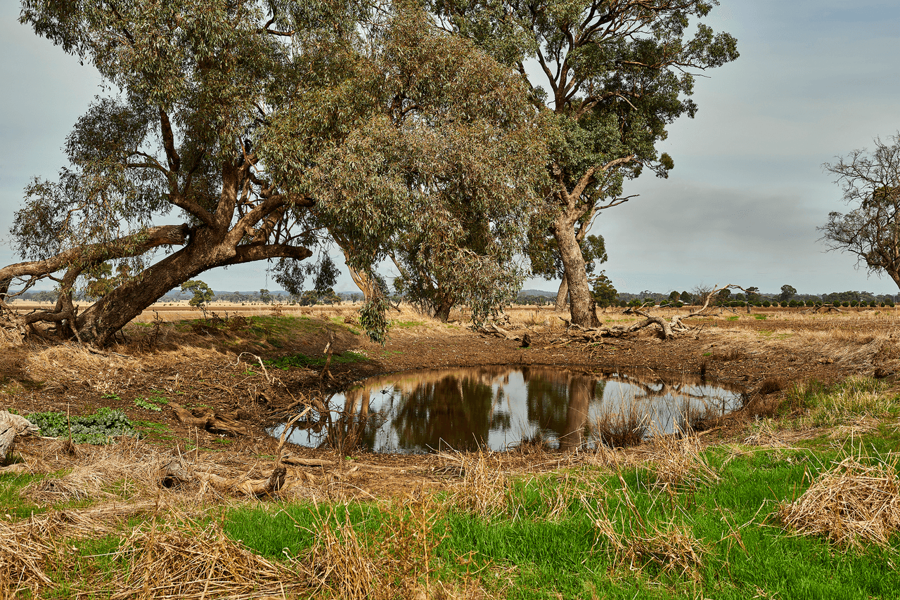 . Corner Myola Road and Rochester Road, CORNELLA, VIC 3551