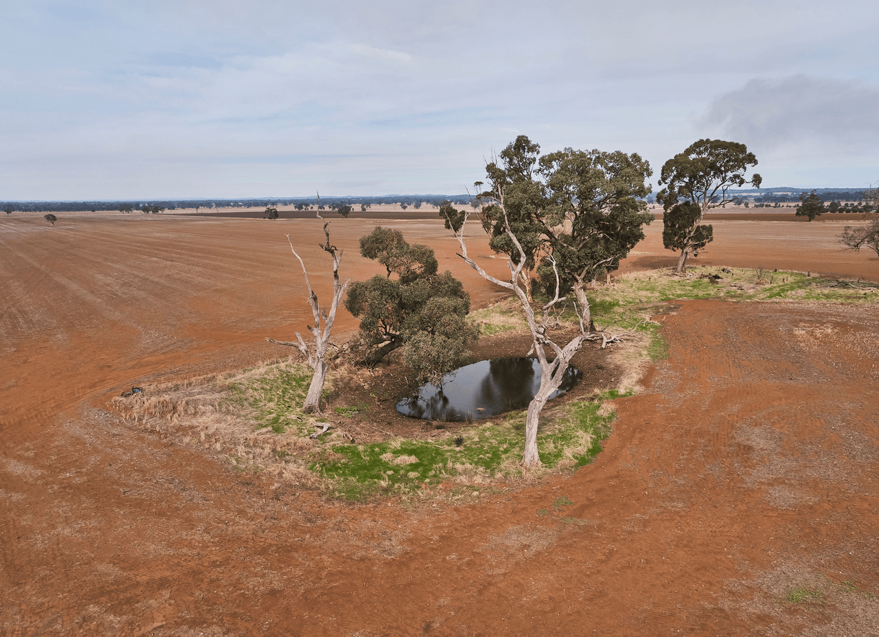 . Corner Myola Road and Rochester Road, CORNELLA, VIC 3551